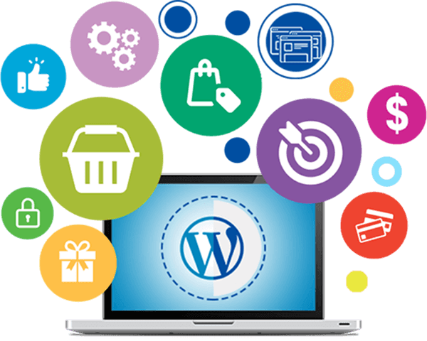 website development services in Bangalore